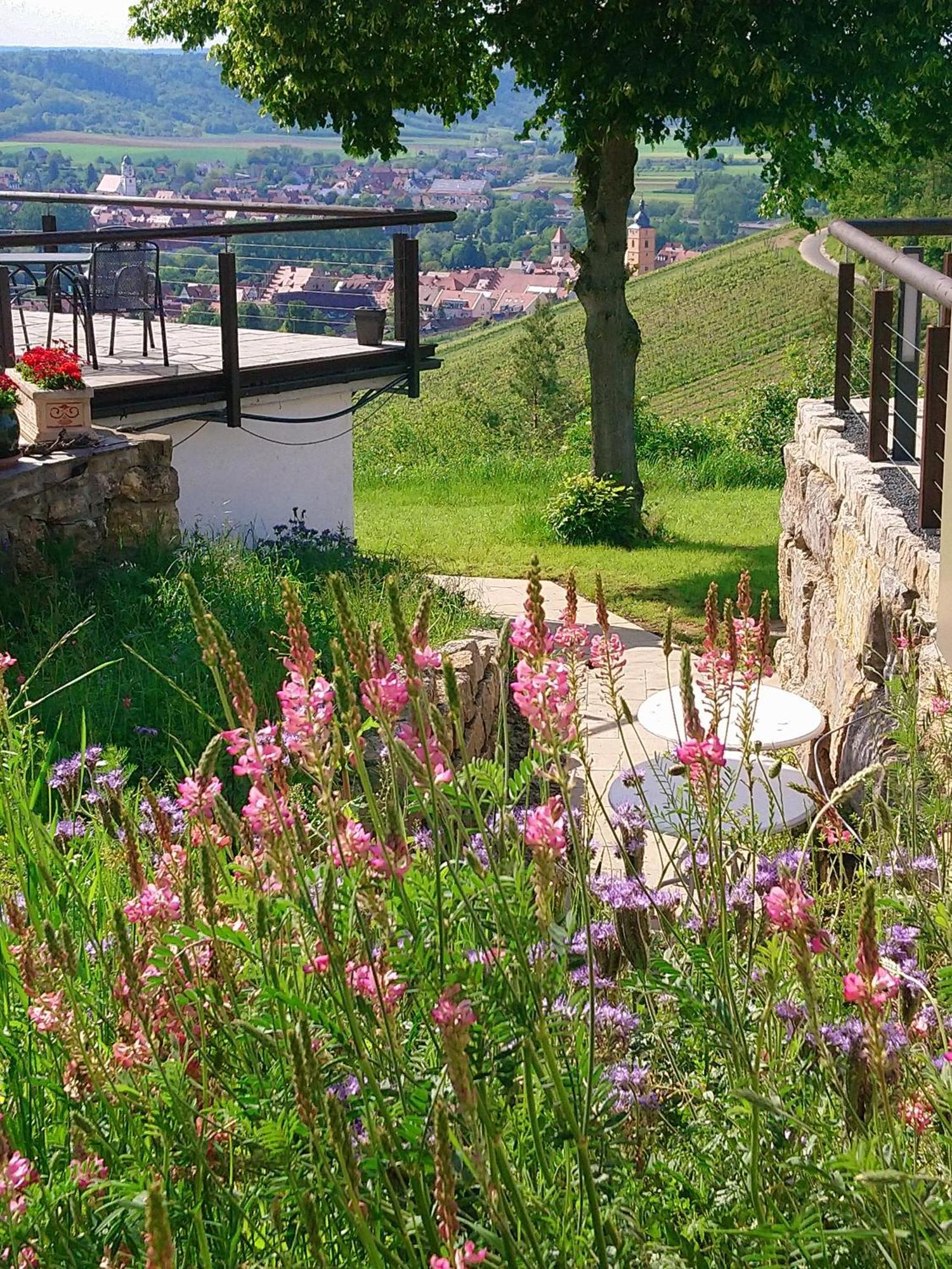 Kirschberghof Gaestehaus Und Weinverkauf Sommerhausen Exteriör bild