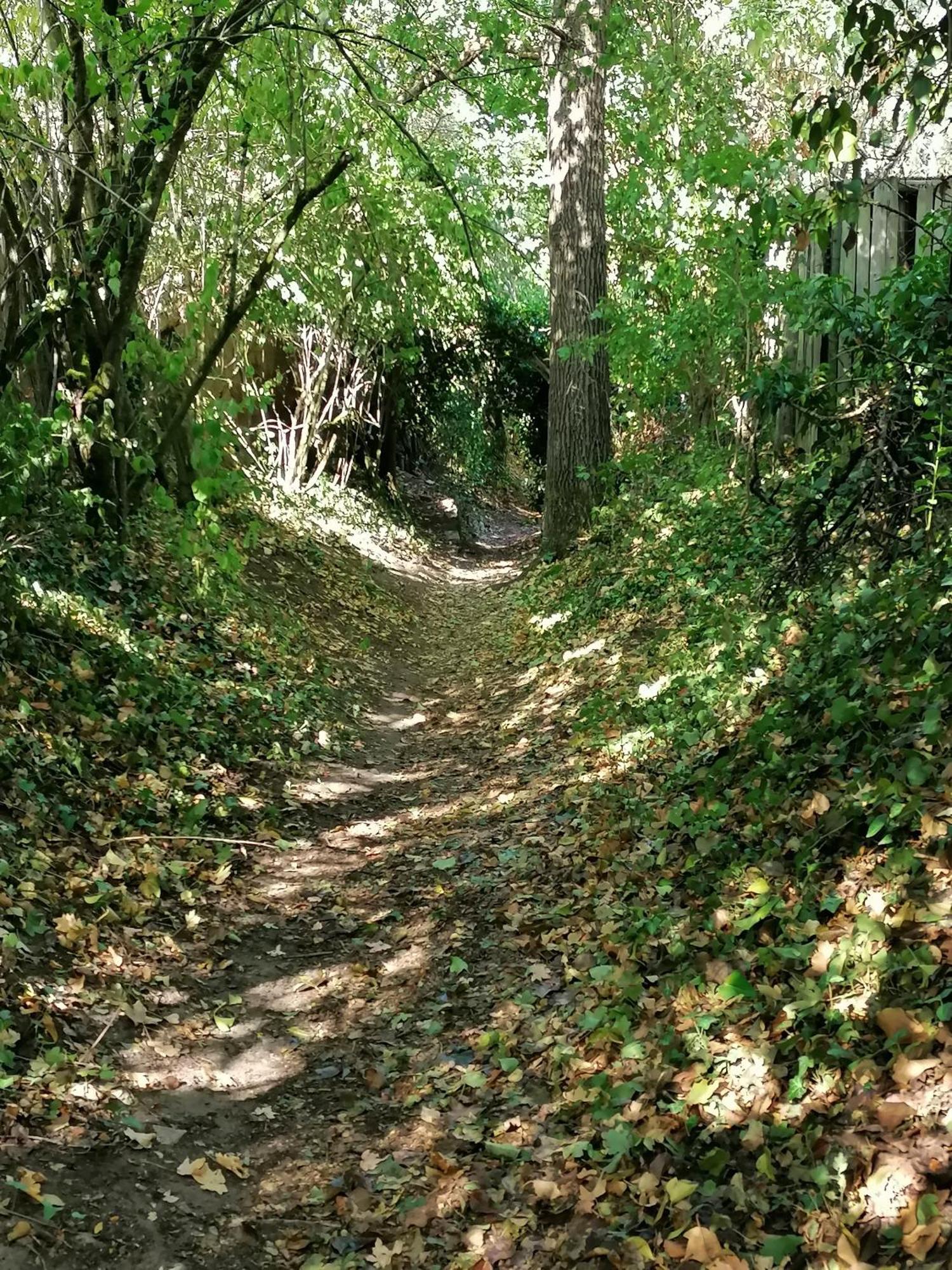 Kirschberghof Gaestehaus Und Weinverkauf Sommerhausen Exteriör bild