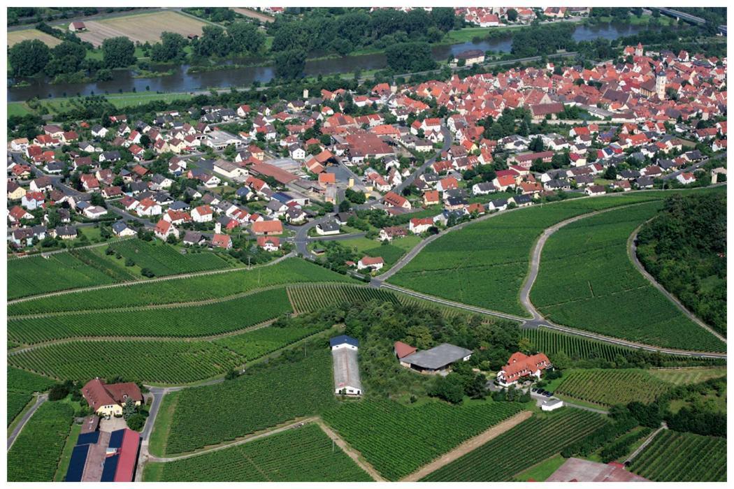 Kirschberghof Gaestehaus Und Weinverkauf Sommerhausen Exteriör bild